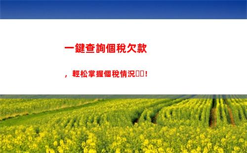 快速查詢個稅申報？？進這個網站就能輕松搞定